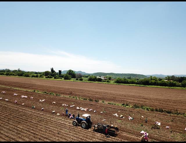 50HA FARM FOR SALE IN WEENEN